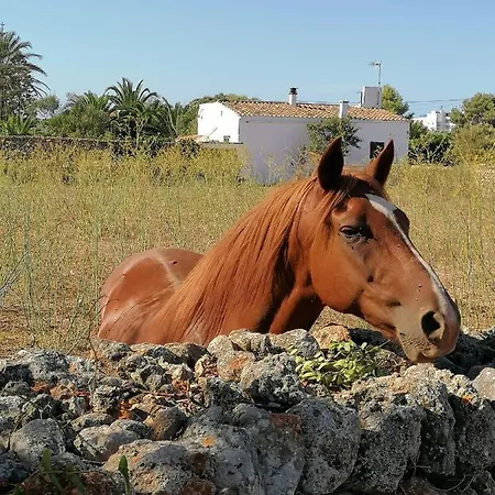 Apto. S'aigua Dolca 2 Son Carrio (Menorca)